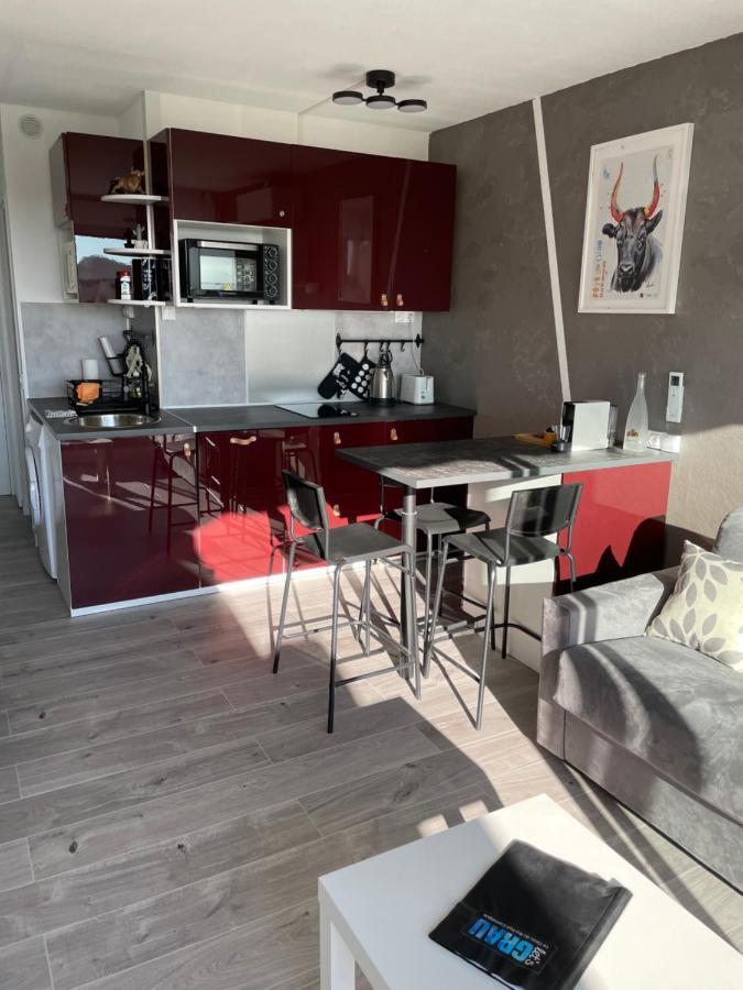 Superbe Studio, Terrasse, Piscine, Parking Le Grau-du-Roi Exterior foto